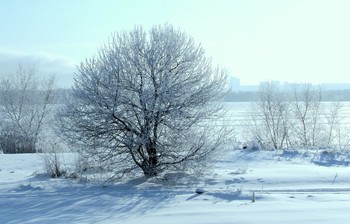 Winter landscape / ***