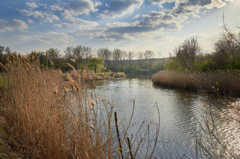 spring landscape / ***