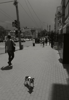 Before the storm / ***