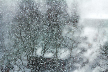 The February snowfall / ***