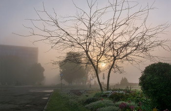 City Morning / ***