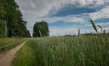 On the outskirts / ***