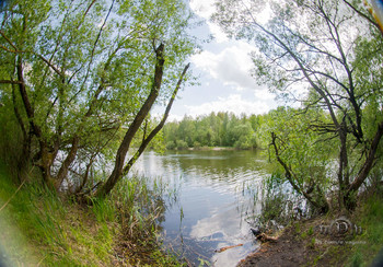 On the outskirts / https://vk.com/e.vaguro

https://www.instagram.com/vaguro_v_u_v/

https://web.facebook.com/evgeniy.vagouro

https://www.pexels.com/ru-ru/@10472344