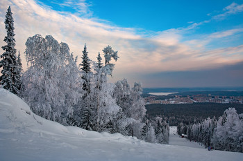 winter / ***