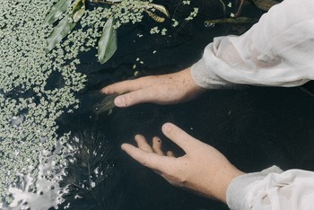 Ophelia / ... .