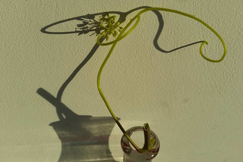 &amp;o&amp; / .
[img]https://d.radikal.ru/d16/2103/c8/3641f68ba520.jpg[/img]

[img]https://b.radikal.ru/b31/2103/59/59a3980d18f8.jpg[/img]

[img]https://b.radikal.ru/b28/2103/6e/5bd0038a8e8b.jpg[/img]

[img]https://c.radikal.ru/c30/2103/48/6f1db93492ad.jpg[/img]

[img]https://a.radikal.ru/a30/2103/84/84ad1a66d0d5.jpg[/img]