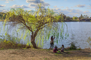 On the lake / .....