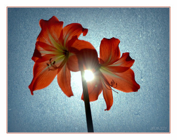 spring beams / [img]https://i.imgur.com/Zh9wrRS.jpg[/img]