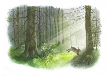 The beginning of the day. / ***