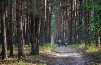 There on unknown paths ... / ***