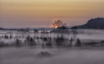 &nbsp; / 28.03.2021.