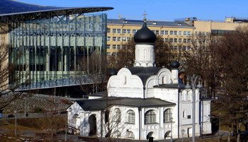 MY CITY. / ***