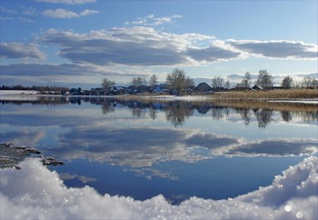 spring landscape / ***