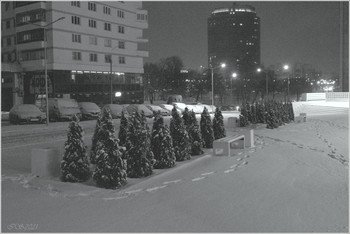 &nbsp; / [img]https://i.imgur.com/zEMOrWD.jpg[/img]