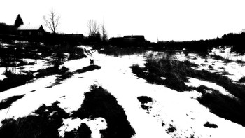 Home / ***