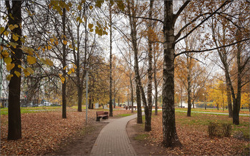 In the fall the park ... / ***