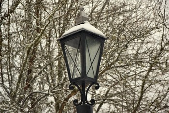 Flashlight / ***