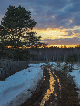 Late afternoon / ***