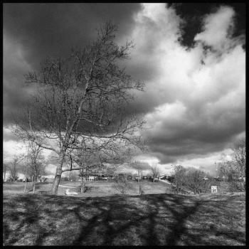 In the wind / ***