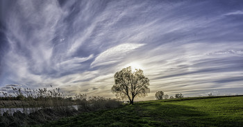 &nbsp; / 22.04.2017.