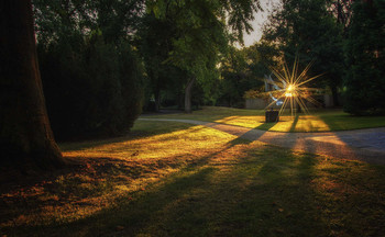 Sun / ***