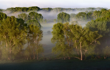 Fog dissipates / ***