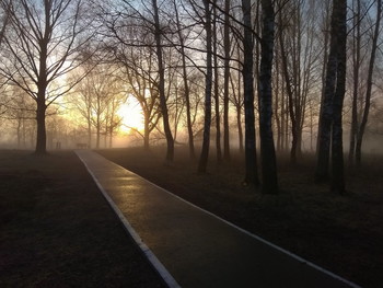 Pashkevich68 / Pashkevich68