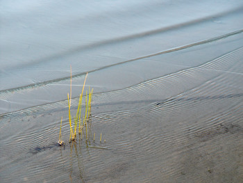 With a breeze! / ***