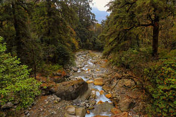 Himalayas / ***