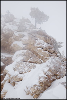 In the mountains ... / ***