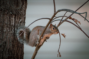 I tell you bro / from the bottom of my heart...