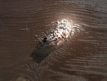 Chill / At the lounge