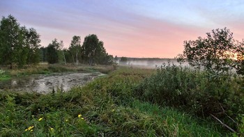 The Dawns Here Are Quiet / ***