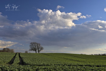 Der Winter ist gegangen / Wolkenformation mit frischem Feld