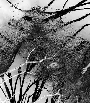 Dream catcher / ***