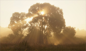 In the morning / ***