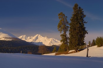 Morning in the mountains / ***