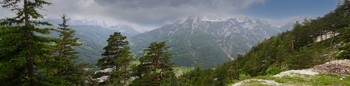 The road in the Alps / ***