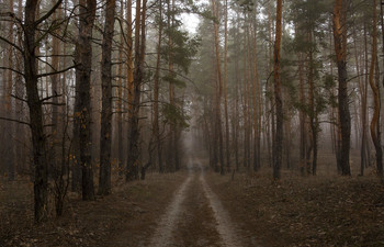 Fog dissipates / ***