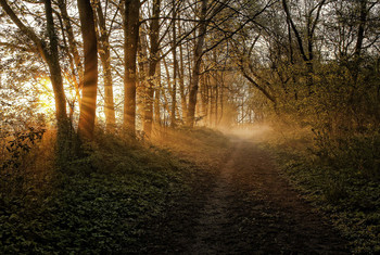 warm sun / ***