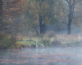 Autumn mists / ***