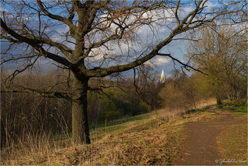 Spring in Kolomenskoye / ***