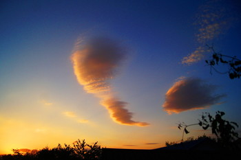 At dawn / ***