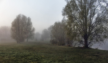 Foggy morning / ***