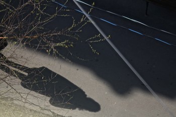 A view from the top / ***