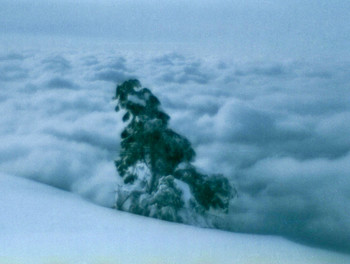 A view from the top / ***