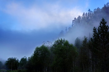 Morning in the mountains / ***