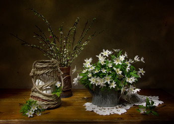 On Palm Sunday! / ***