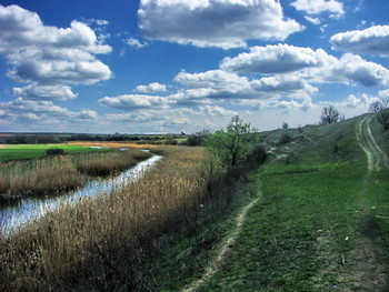 Rivulet / ***