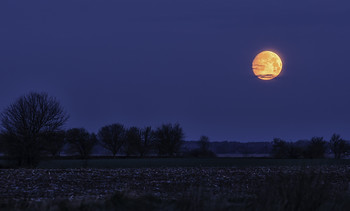 &nbsp; / 25.04.2021.